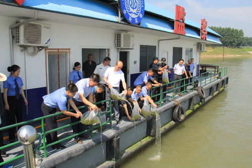 湖北省檢察機關 十年禁捕護航長江生態，固體廢物治理助力大保護