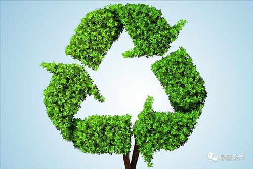 固廢治理 環保產業的核心賽道，聚焦四大潛力龍頭企業