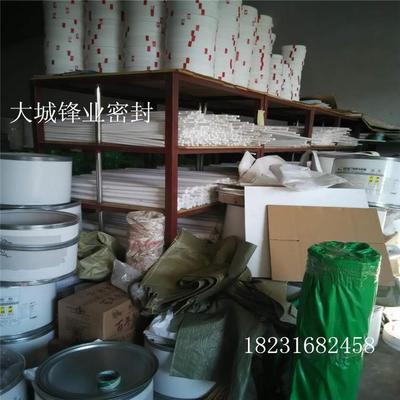 現貨直供河北無毒無臭四氟法蘭墊片 | 高清細節圖展示